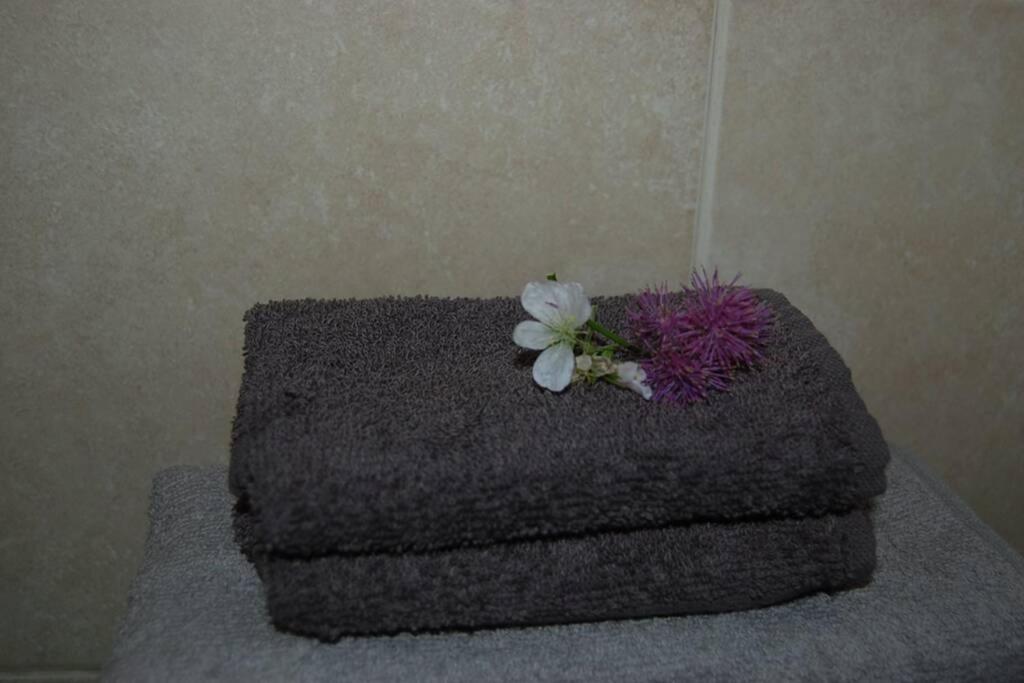 Creag Mhor Self Catering Holiday Apartment Aberfoyle  Eksteriør billede